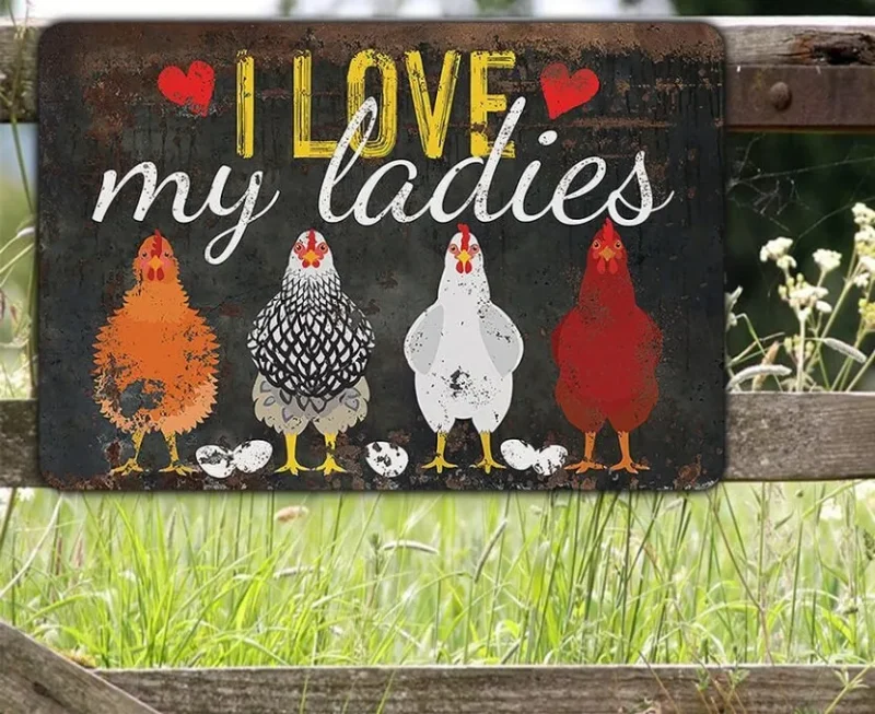 I Love My Ladies Chicken Cut Metal Sign