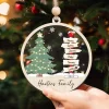 Personalized Family Name Christmas Tree Ornaments, Family Name Ornament, Christmas Tree Ornament With Family Names 2024, Ornaments For Christmas 2024